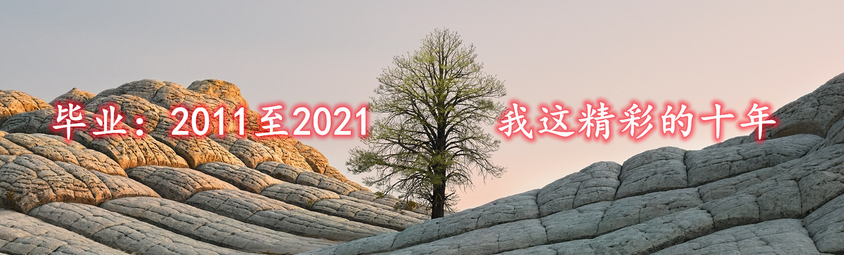 毕业十年：2011至2021，记录消逝的青春