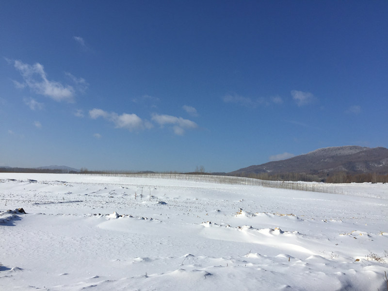 哈尔滨冰天雪地