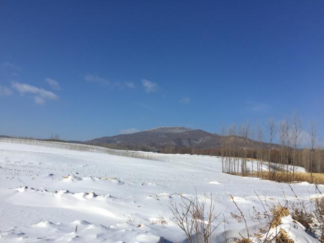 雪地风景