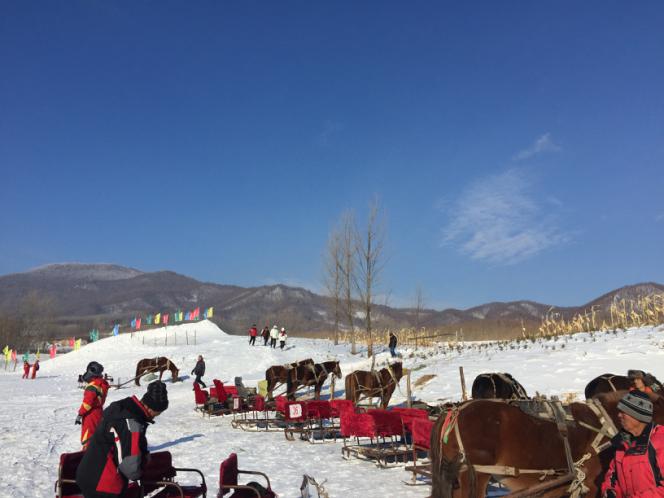 雪地风景