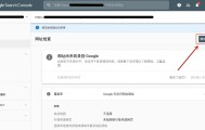 网页操作暂时已停用,网址尚未收录到 Google