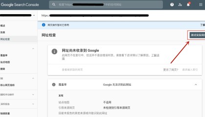 网页操作暂时已停用,网址尚未收录到 Google