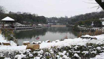 再见，我的2019。你好，我的2020！