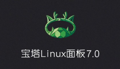 新安装Linux服务器宝塔面板报错ERROR: The BT-Panel service startup failed
