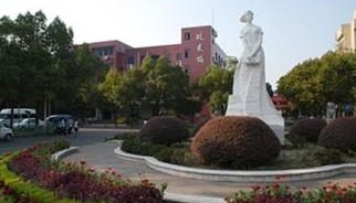 再见,我的2008(日记写于2009年1月1日)