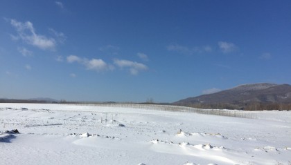 四天三夜，冰天雪地，哈尔滨之行